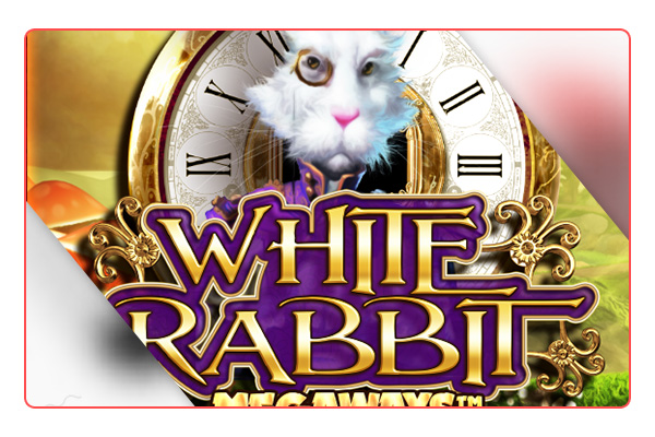 rtp white rabbit