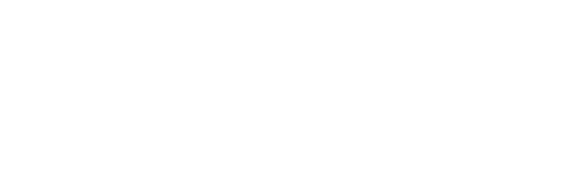 skrill logo white png